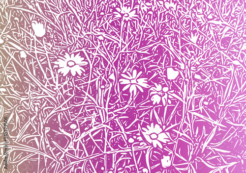 White daisy flower illustration on a pink background. Pattern background