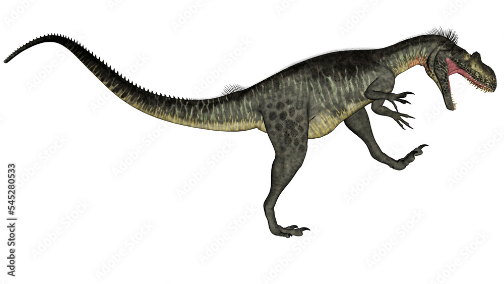 Fototapeta premium Megalosaurus dinosaur - 3D render