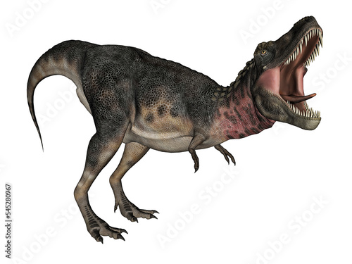 Tarbosaurus dinosaur - 3D render