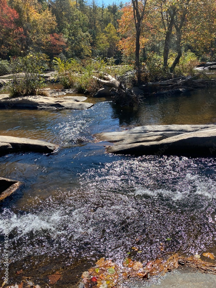 Obraz premium Fall Memories