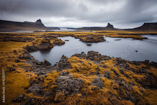 Cold seaside landscape, tundra or Scottish style, with lichens on the rocks and low tide.
