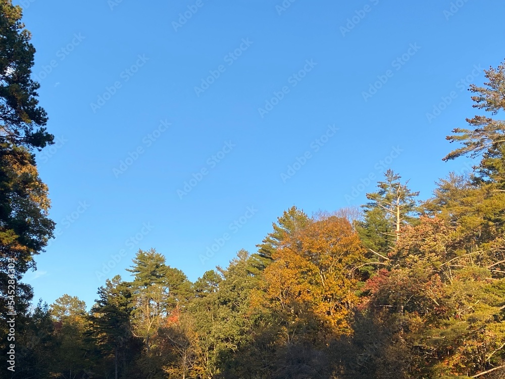 Fall Memories Fall Memories