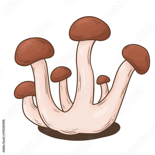 Group of porcini mushroom in color sketch. Edible mushrooms, vegetarian protein food, natural food.