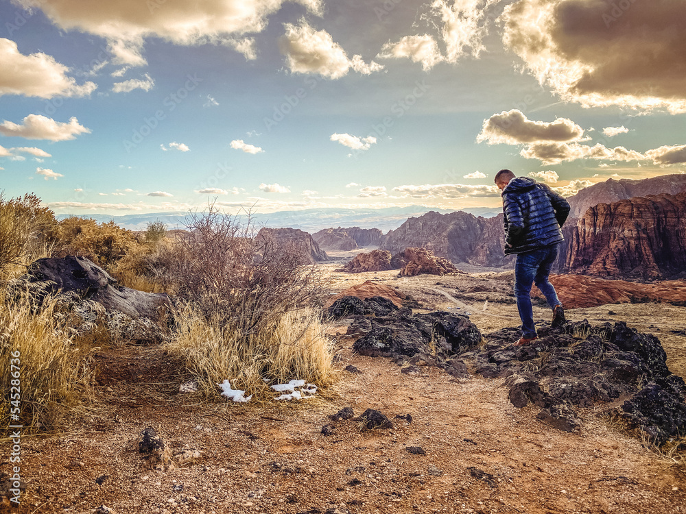 Fototapeta premium Snow Canyon Overlook, Utah