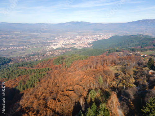 Aerial view of Old Sequoia forest near village of Bogoslov  Bulgaria