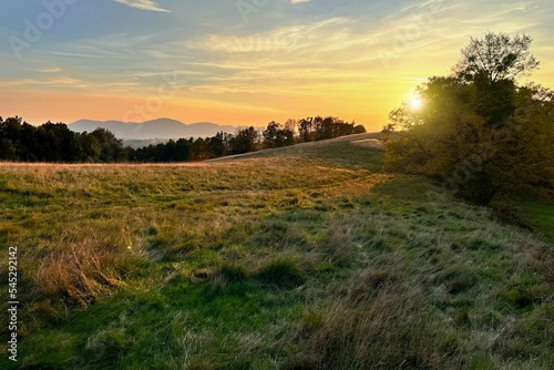 sunset in the field photo