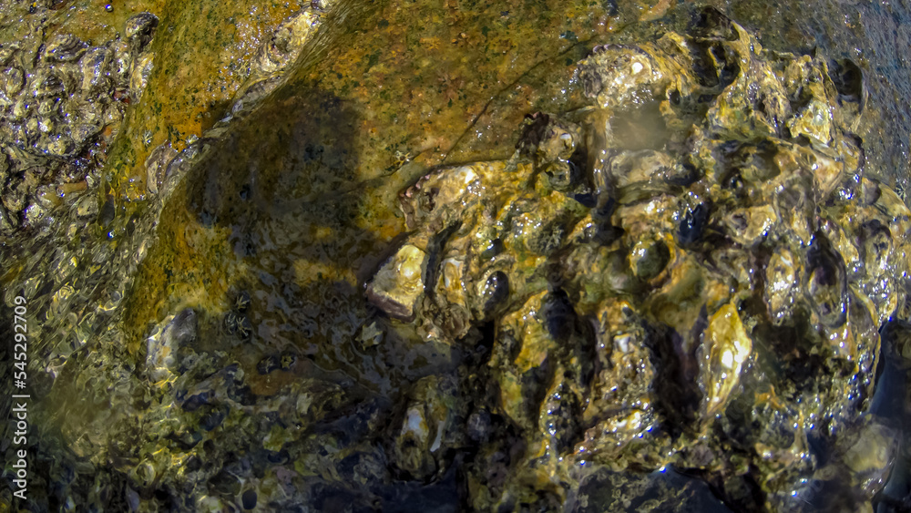 Panoramic scene under water and blue background