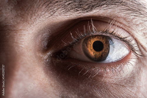 Foto un oeil d'homme et son iris en gros plan