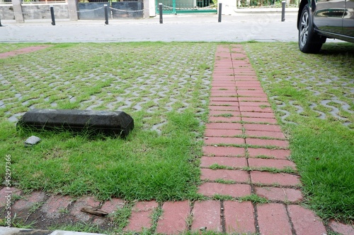 sidewalk in the park