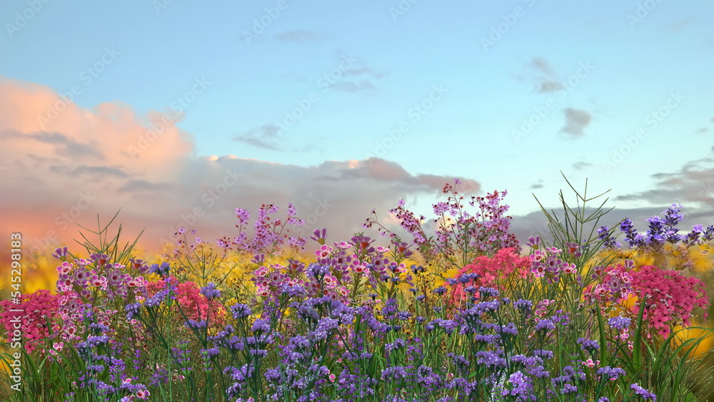 Mountain wild flowers blue sky and white clouds in heart shape wild field rainbow on blue sky  sunset  summer nature landscape
