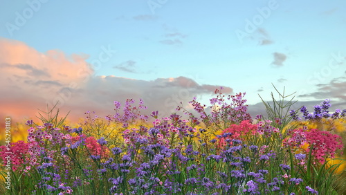 Mountain wild flowers blue sky and white clouds in heart shape wild field rainbow on blue sky sunset summer nature landscape