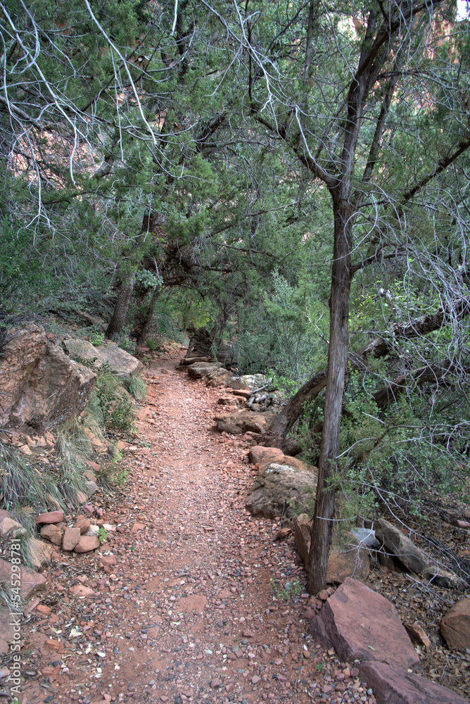 Sinagua people arrived in Arizona about 650 A.D. They were farming people who included in their diets of wild plants and animals Sinagua people arrived in Arizona about 650 A.D. They were farming people who included in their diets of wild plants and animals