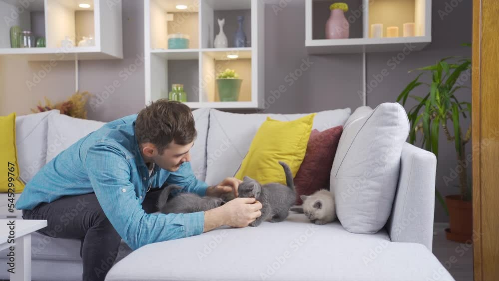 Kittens play with their owners at home.
Kittens are sitting on the sofa at home and their owners are taking care of them.
Kittens play with their owners at home.
Kittens are sitting on the sofa at home and their owners are taking care of them.