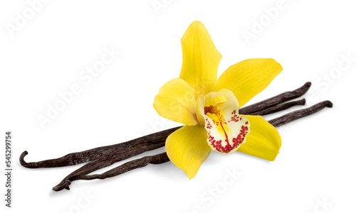 Fresh aroma orchid vanilla with sticks photo
