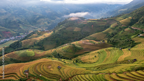 Rice fields on terraced prepare the harvest at Northwest Vietnam. © VietDung
