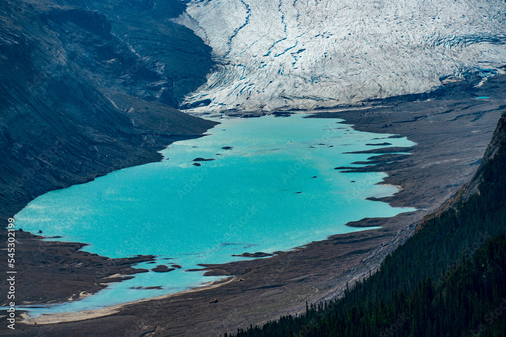 Saskatchewan glacier ending in turquoise waters of lake