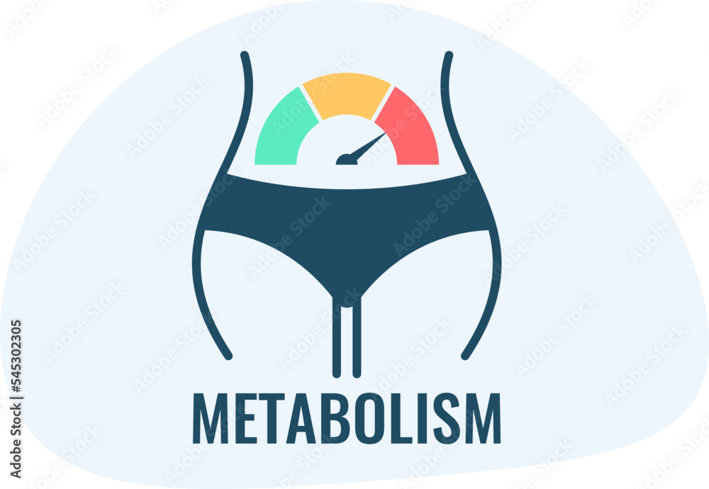 Metabolism vector icon