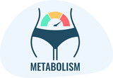 Metabolism vector icon
