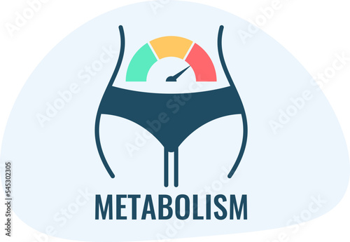 Obraz na płótnie Metabolism vector icon w salonie