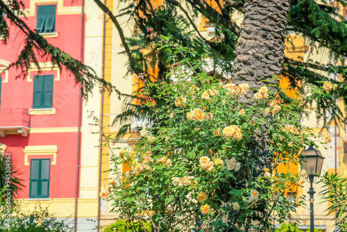 Idyllic Lerici street in Cinque Terre  Liguria  Italy