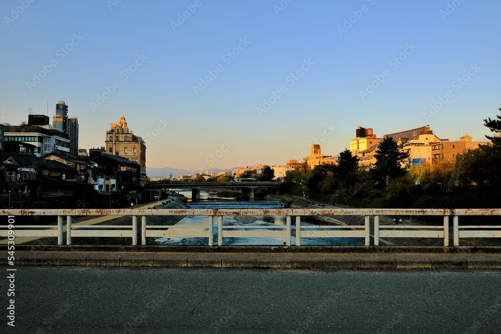 Fototapeta premium 橋，黃葉，秋，紅葉，京都，日本，水の波，風景, 旅行, 建築, 自然, 木, 背景, 黄色, 庭, 光