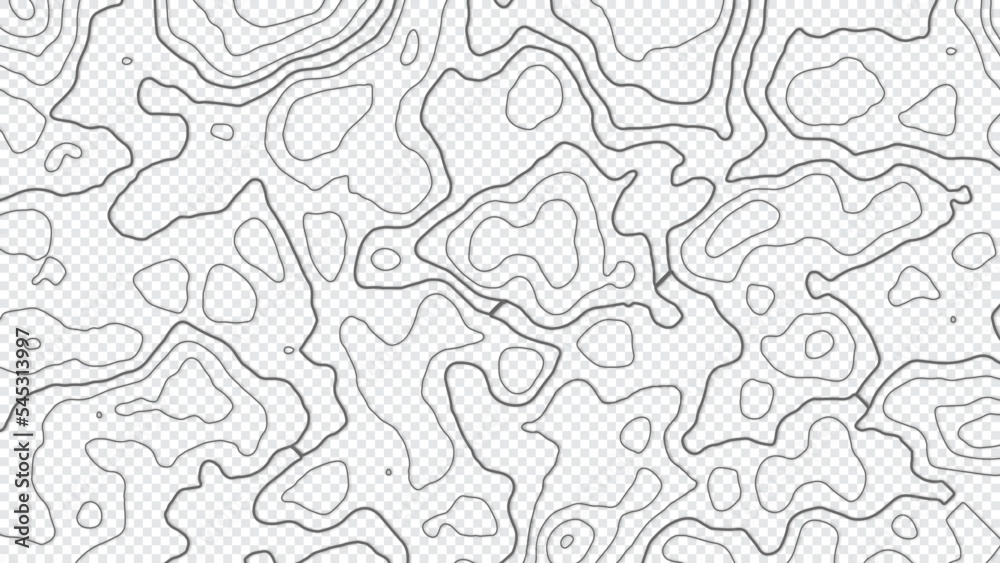 Fototapeta premium Grey outline topographic contour map abstract tech transparent background. Vector illustrator