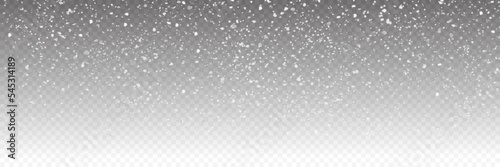 Panorama View Isolated Falling Snow Overlay