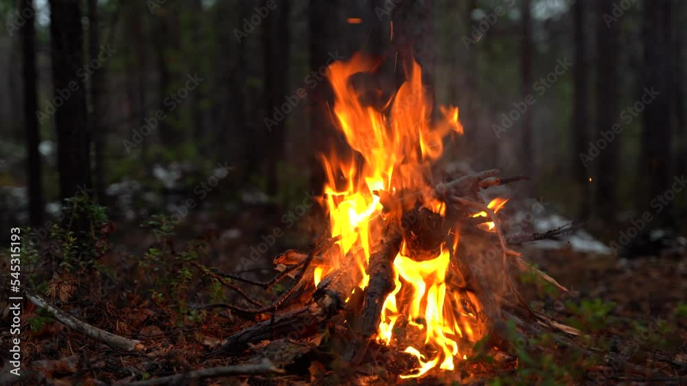 Campfire in the forest. Beautiful landscape of nature and trees. Sparks and flames. Rest by the fire. Camping in the woods. Burning firewood. Evening bonfire. Rain and snow in the forest Campfire in the forest. Beautiful landscape of nature and trees. Sparks and flames. Rest by the fire. Camping in the woods. Burning firewood. Evening bonfire. Rain and snow in the forest
