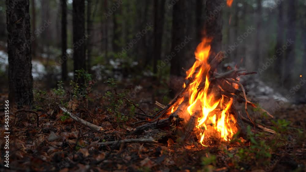 Campfire in the forest. Beautiful landscape of nature and trees. Sparks and flames. Rest by the fire. Camping in the woods. Burning firewood. Evening bonfire. Rain and snow in the forest Campfire in the forest. Beautiful landscape of nature and trees. Sparks and flames. Rest by the fire. Camping in the woods. Burning firewood. Evening bonfire. Rain and snow in the forest
