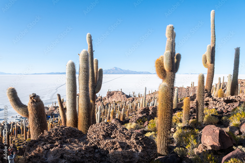 views from the top of incahuasi island in uyuni desert, bolivia