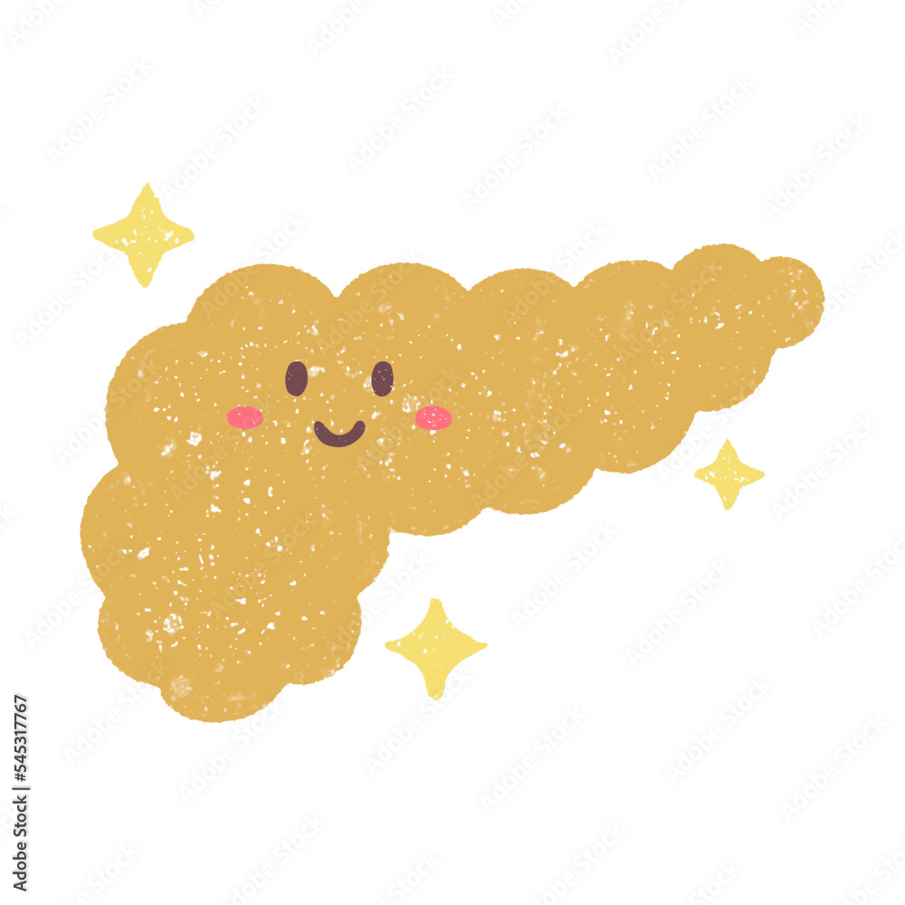 手描きの元気なかわいい膵臓