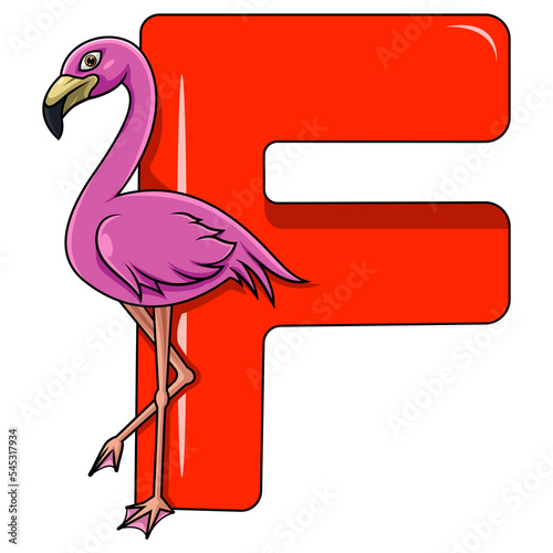 Illustration of F letter for Flamingo photo