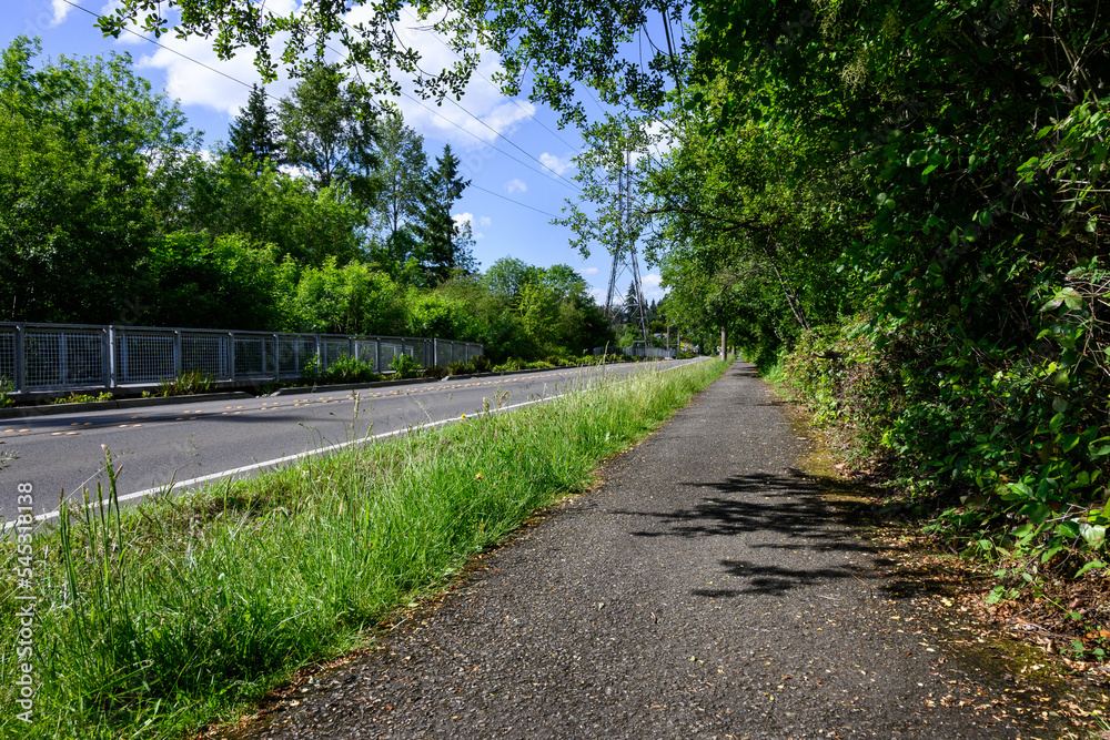 Asphalt walking path between a residential street and a forest woodland
