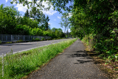 Wallpaper Mural Asphalt walking path between a residential street and a forest woodland
 Torontodigital.ca