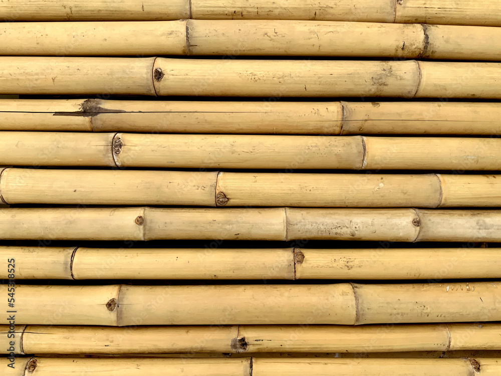 Bamboo fence background. Natural texture Bamboo fence background. Natural texture