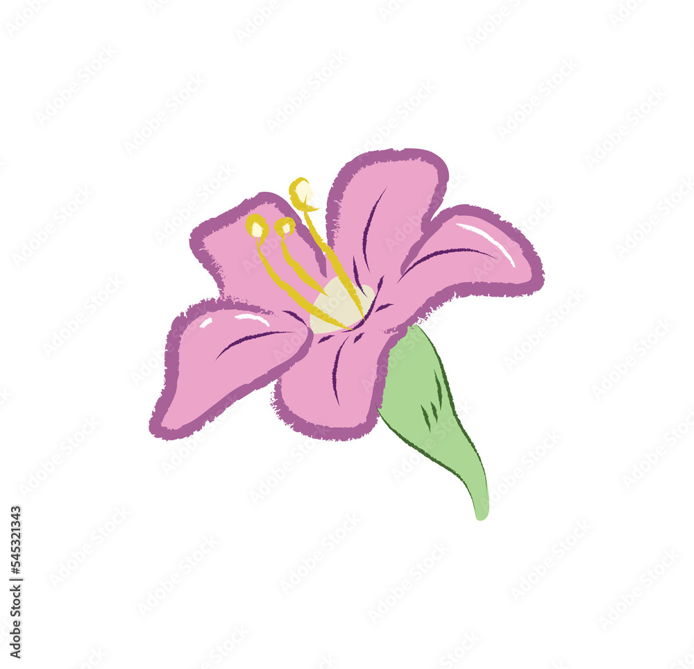 Lycium flower with different angles in flat illustration