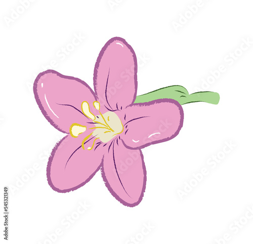 Lycium flower with different angles in vector flat illustration