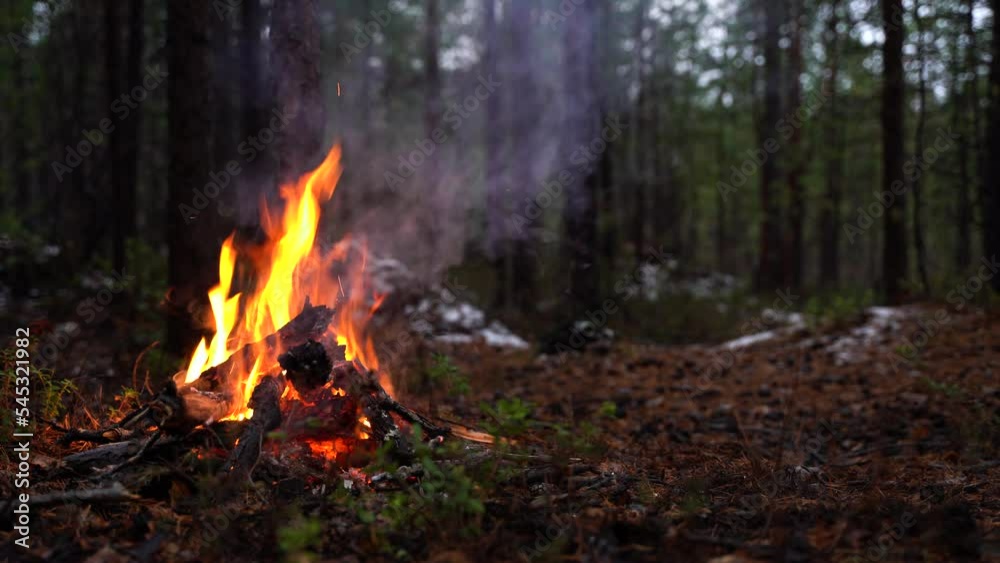 Campfire in the forest. Beautiful landscape of nature and trees. Sparks and flames. Rest by the fire. Camping in the woods. Burning firewood. Evening bonfire. Rain and snow in the forest Campfire in the forest. Beautiful landscape of nature and trees. Sparks and flames. Rest by the fire. Camping in the woods. Burning firewood. Evening bonfire. Rain and snow in the forest