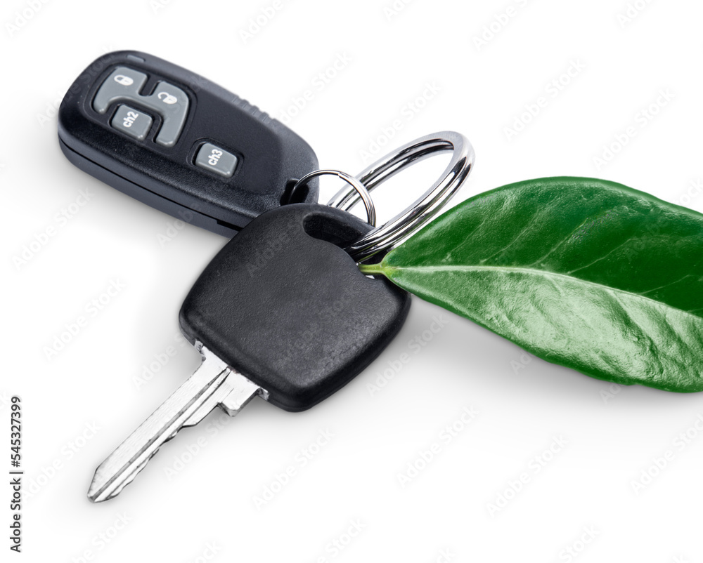 Car key with green leaf as trinket isolated on white background Car key with green leaf as trinket isolated on white background