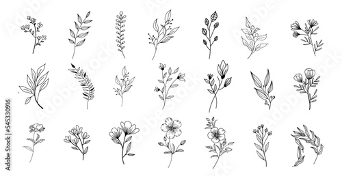 Hand drawn of vector vintage flowers elements isolated on white background.