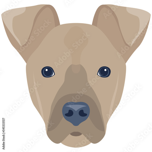 Premium flat icon design of dog 