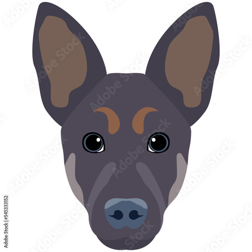 Premium flat icon design of dog 
