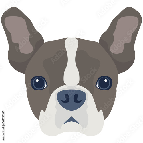 Premium flat icon design of dog 