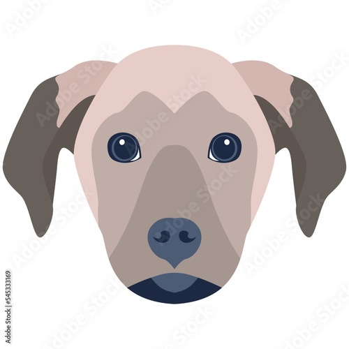 Premium flat icon design of dog 
