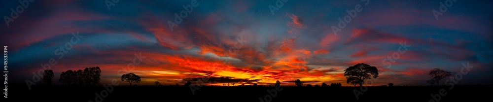 Panorama silhouette tree in africa with sunset.Tree silhouetted against a setting sun.Dark tree on open field dramatic sunrise.Typical african sunset with minimal acacia trees in Masai Mara, Kenya. Panorama silhouette tree in africa with sunset.Tree silhouetted against a setting sun.Dark tree on open field dramatic sunrise.Typical african sunset with minimal acacia trees in Masai Mara, Kenya.