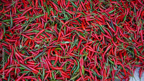 Hot chilli peppers pattern texture background. Close up background landscape of hot chili peppers.