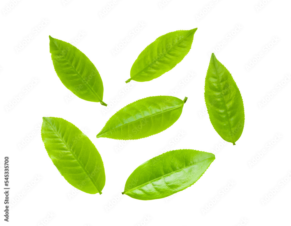 Tea leaves isolated on transparent png