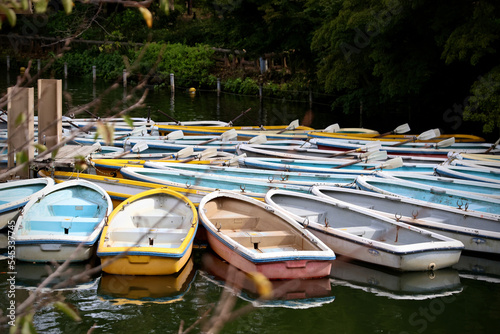 Wallpaper Mural 手漕ぎボート Torontodigital.ca