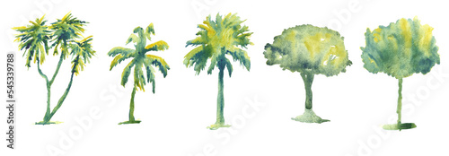 Set of hand drawn watercolor trees illustrations isolated on white. Collection of various hand painted plants