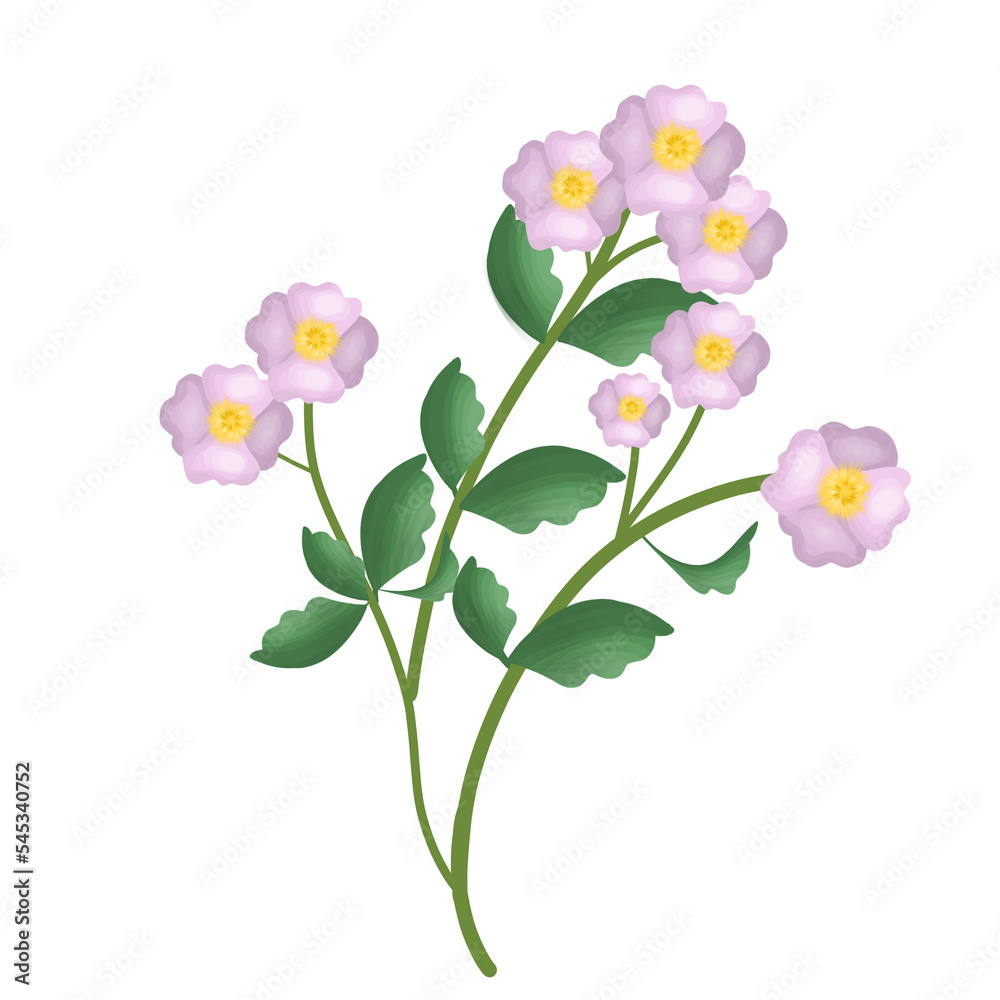 beautiful bunch of pink flower illustration beautiful bunch of pink flower illustration